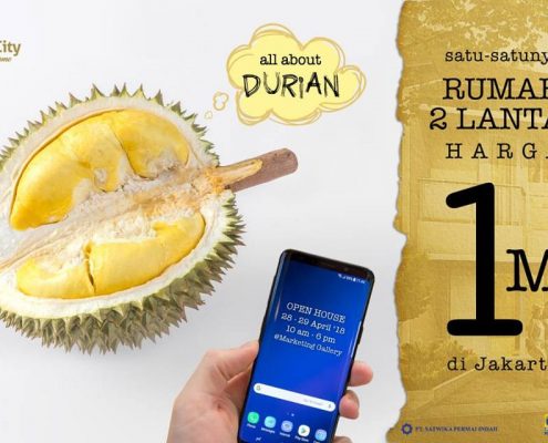 Open House Palm CIty Durian